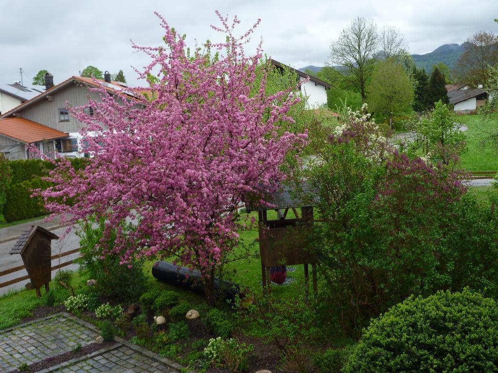 Apartments Donebauer Übersee Eksteriør billede